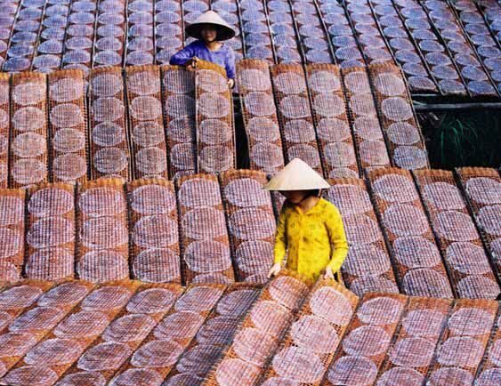 Bánh Tráng Siêu Mỏng Gia Bảo – Chất Việt Trong Từng Cuốn Nhỏ