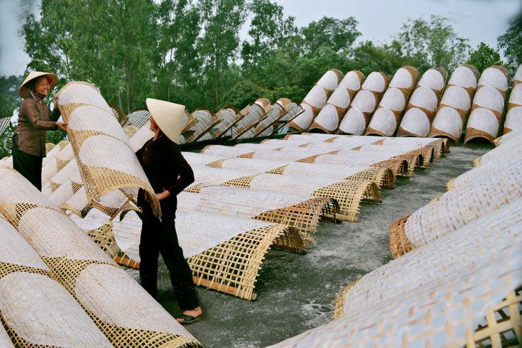 Bánh Tráng Gia Bảo – Từ Gạo Quê Đến Bữa Cơm Của Người Thành Thị